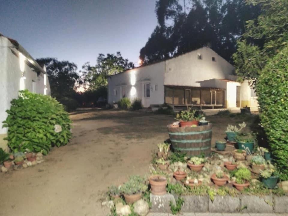 Macinhata do Vouga Quinta Da Mesa 빌라 외부 사진