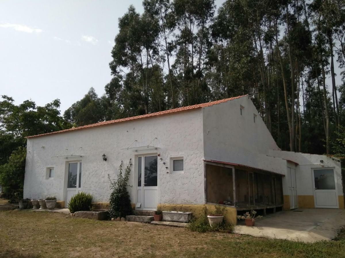 Macinhata do Vouga Quinta Da Mesa 빌라 외부 사진